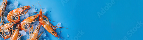 Closeup of fresh sea food of shrimps and prawns on ice isolated on bright blue background banner