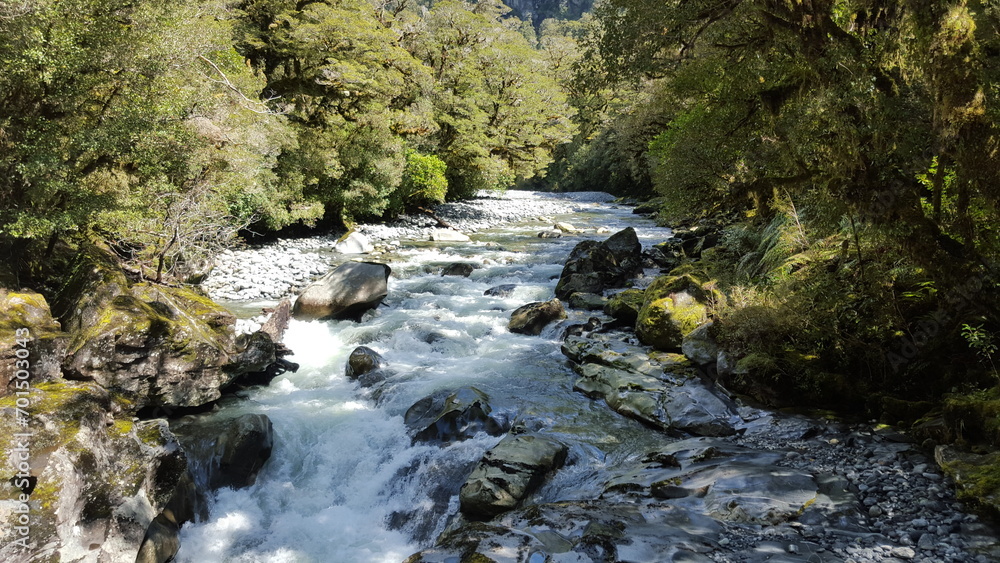 New zealand river and green bushes and trees New zealand river and green bushes and trees