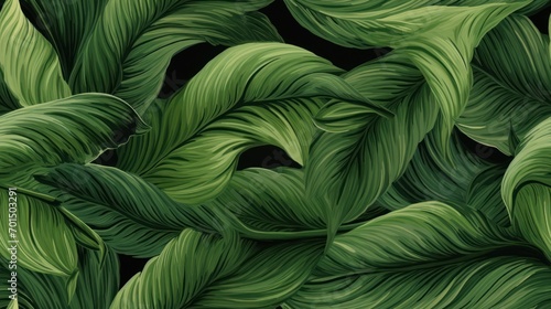  a close up of a green plant with lots of leafy green leaves on it s sides and a black background.