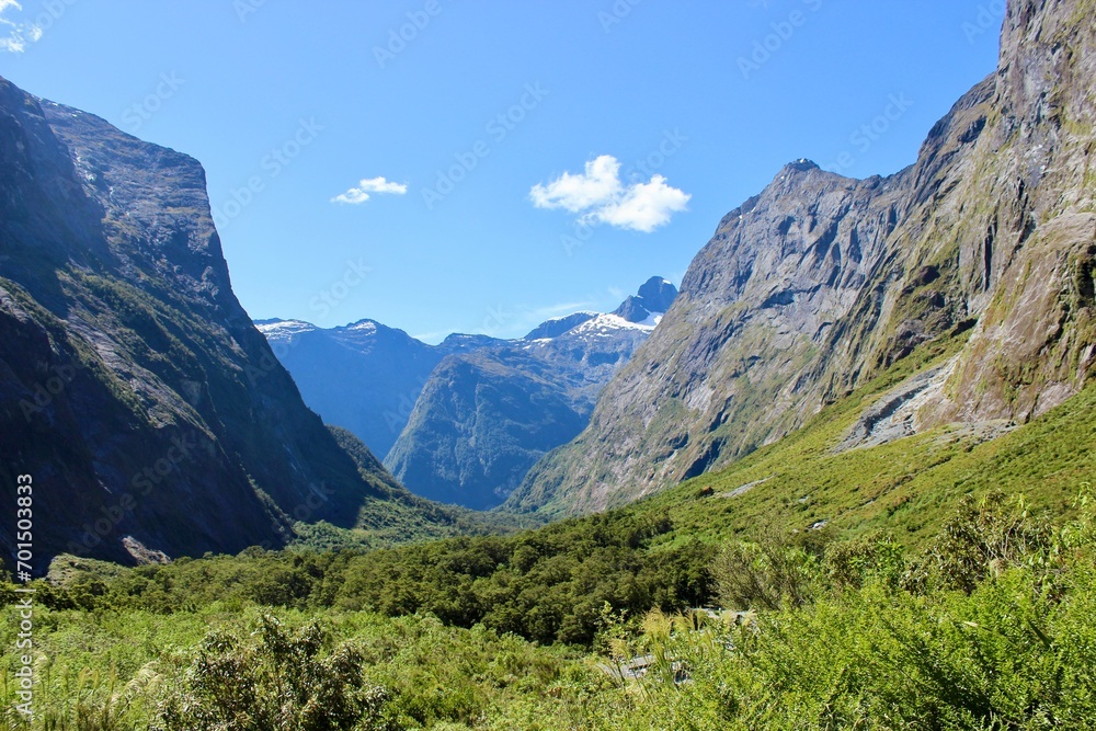 New Zealand mountains green gras blue sky