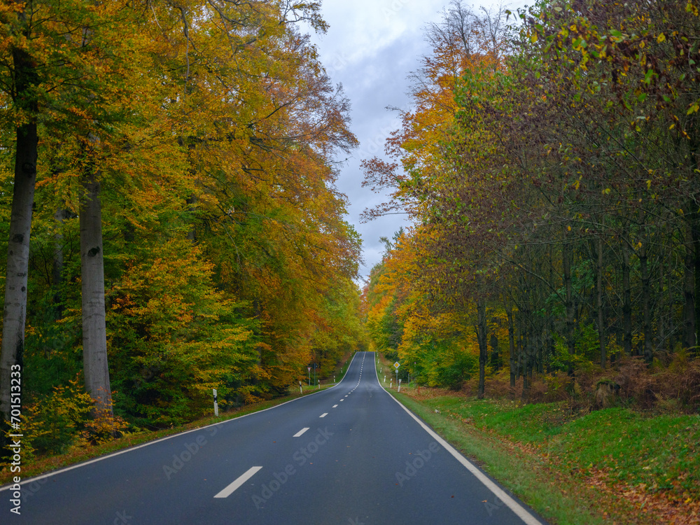 Obraz premium Herbstliche Landstraße mit buntem Laub 