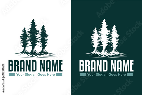 simple three tree redwood vintage outdoor illustration vector logo design photo