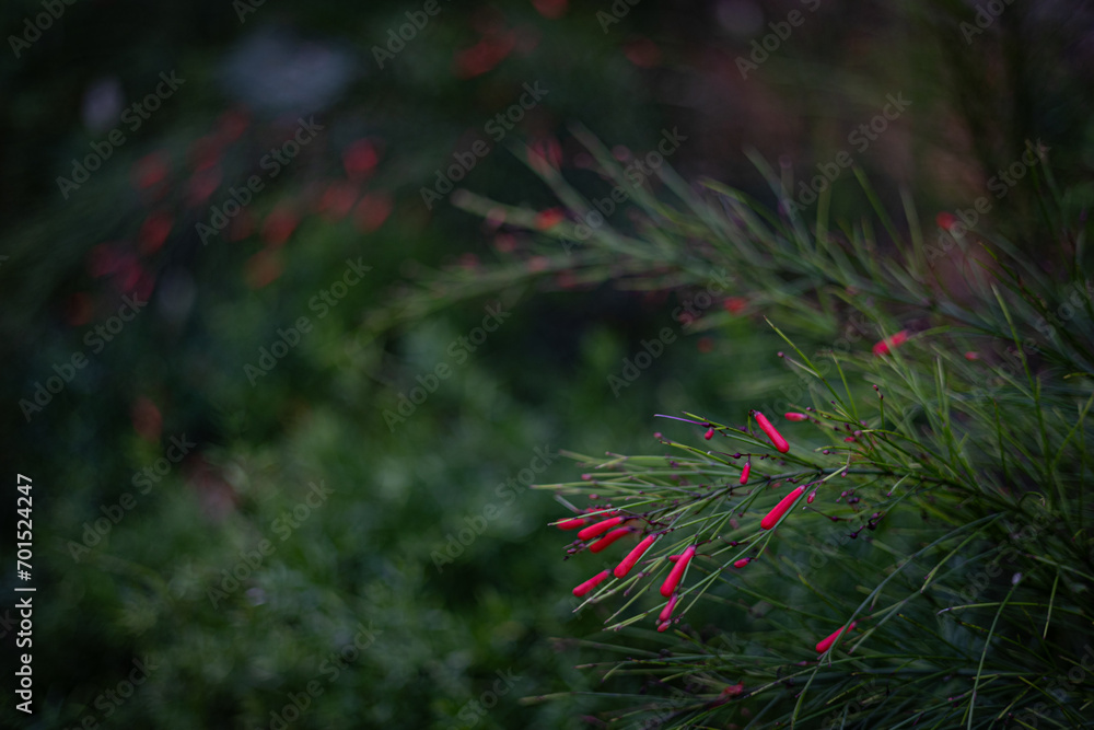 Floral background with bright red sparkle like small fruits Floral background with bright red sparkle like small fruits