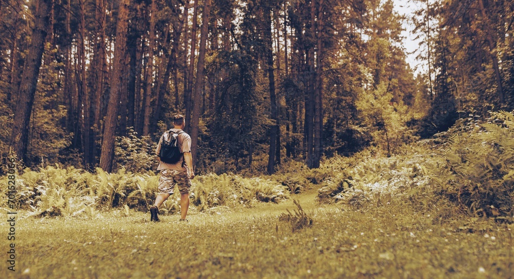 Person hiking in the woods