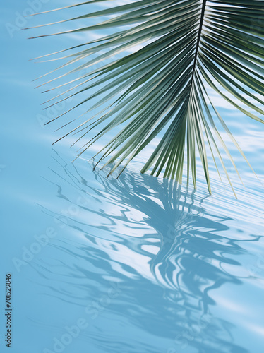 The palm leaf and its shadow on the water's surface.Minimal summer vacation concept.Copy space,top view.Generated AI
