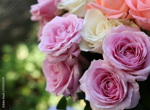 Beautiful bouquet of aromatic roses outdoors, closeup