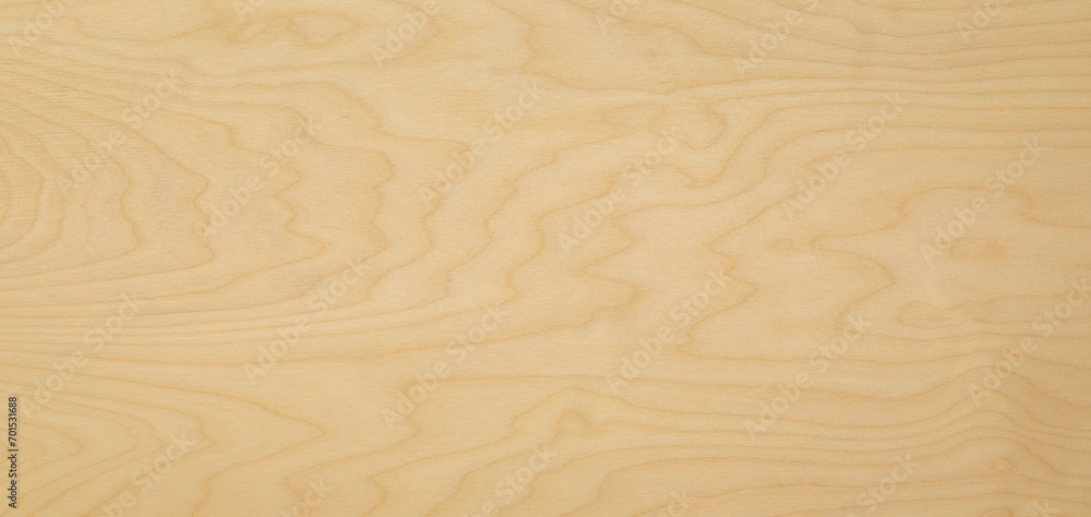 High key birch wood plank natural texture, plank texture background, plank tabletop background. texture background High key birch wood plank natural texture, plank texture background, plank tabletop background. texture background