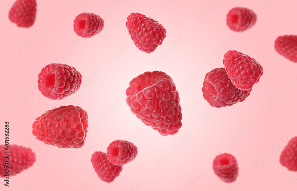 Fresh ripe raspberries falling on pink background Fresh ripe raspberries falling on pink background