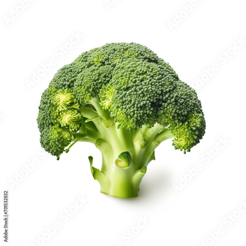 broccoli isolated on white background