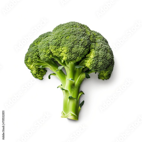 broccoli isolated on white background