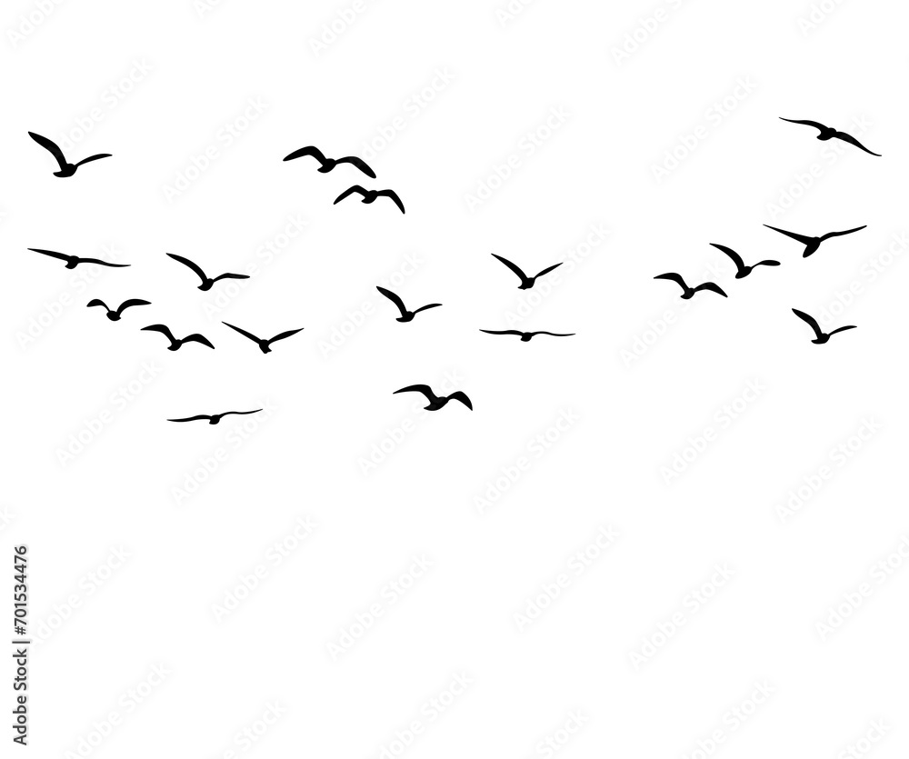 Fototapeta silhouette bird flying in sky