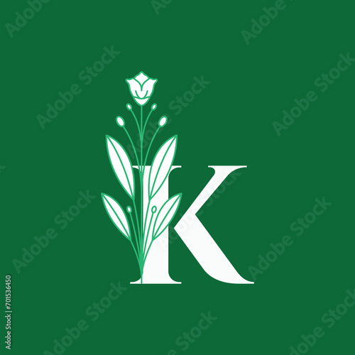 letter k flower stylish beauty flourish modern logo design graphic vector