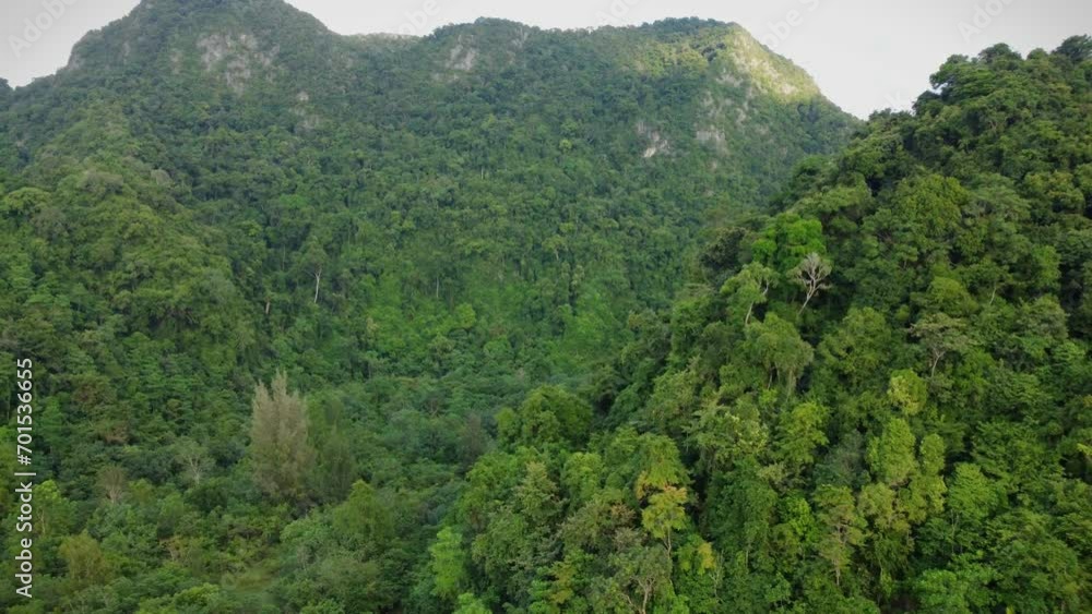 The drone moves forward, showing an aerial view of dense forests on green hills, with shady trees in the interior of the Indonesian forest. The drone moves forward, showing an aerial view of dense forests on green hills, with shady trees in the interior of the Indonesian forest.