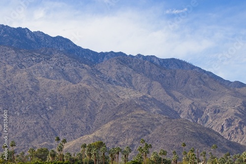 Fan palms tower over Palm Springs and Desert Hot Springs, two resort cities in the Colorado Desert of California © Andrew