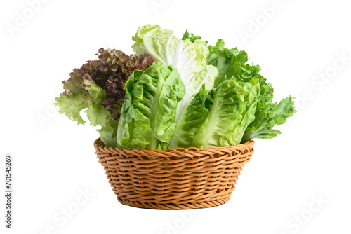 Fresh various lettuce leaf in basket 