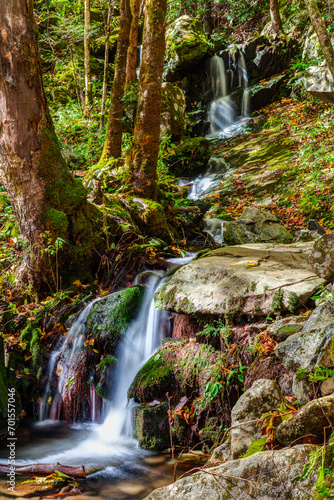 Autumn Waterfall  Tremont  Great Smoky Mountains National Park