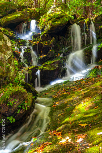 Fototapeta Naklejka Na Ścianę i Meble -  Autumn Waterfall, Tremont, Great Smoky Mountains National Park