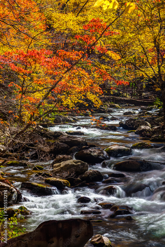 Autumn, Tremont, Great Smoky Mountains National Park Autumn, Tremont, Great Smoky Mountains National Park