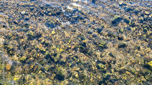 Real shot. A photograph taken from above the surface of a shallow, clear stream, revealing pebbles and sand with beautiful reflections. clear shallow 