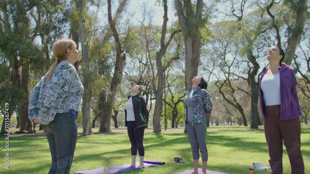 Group of mature women in sports outfits standing on mats, stretching chest with hands clasped behind the back, then extending arms forward during yoga class in the park. Zoom Shot Group of mature women in sports outfits standing on mats, stretching chest with hands clasped behind the back, then extending arms forward during yoga class in the park. Zoom Shot