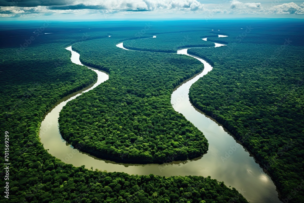 Aerial view of mangrove forest and river, Thailand, AI Generated - obrazy, fototapety, plakaty 