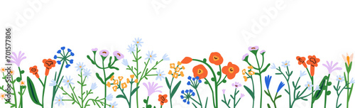 Floral border, horizontal botanical decoration. Spring field and meadow flowe...