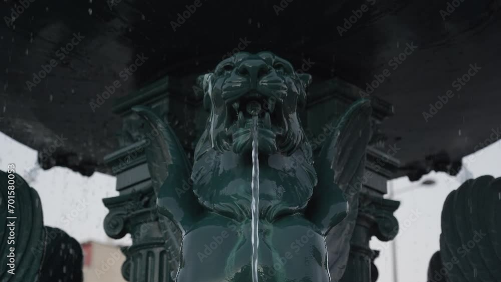 Lion’s fountain in Porto University Rectory. Cristal clear water flowing from one of the majestic lion’s mouth. Steady camera facing the lion head and mouth.