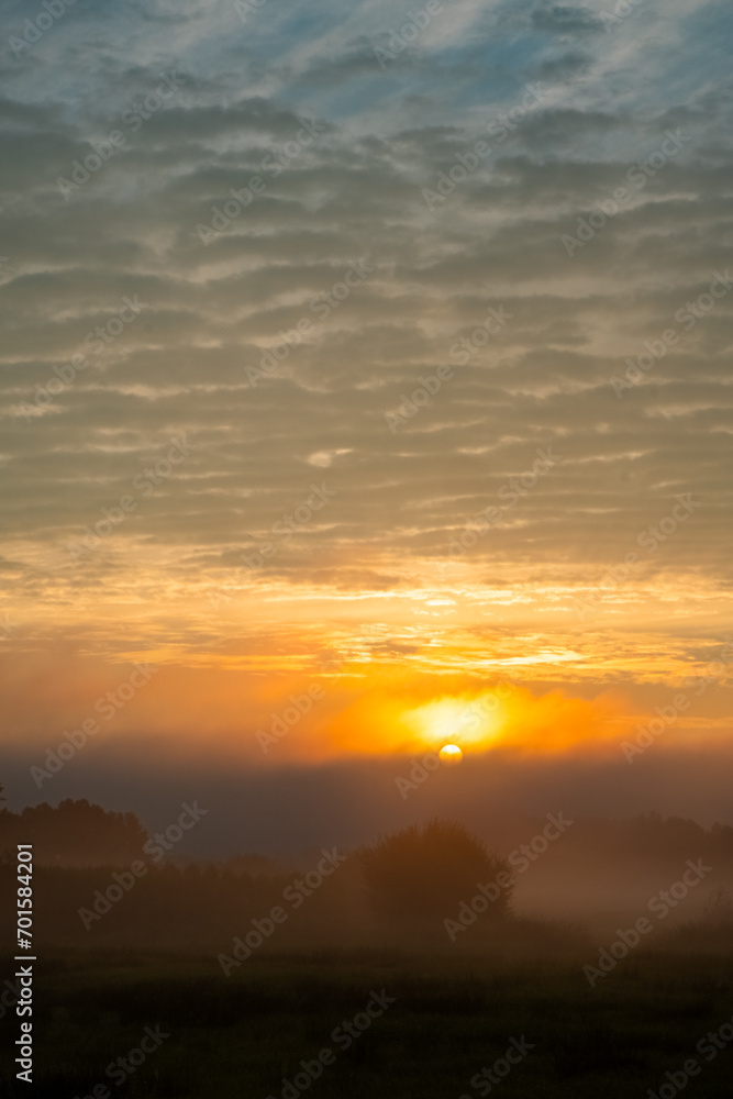 The sun rises majestically, casting a golden radiance through the morning mist that envelops the fields. The sky is a canvas of textured clouds, ranging from the soft light of dawn to the deeper blues
