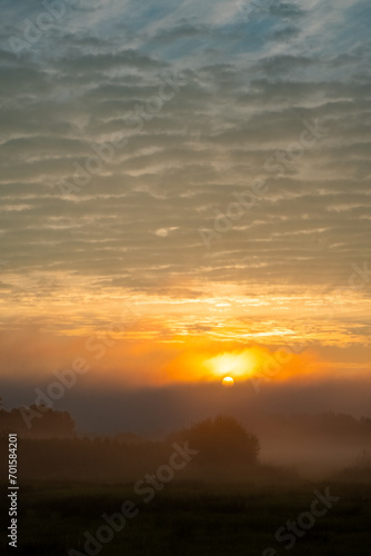 The sun rises majestically, casting a golden radiance through the morning mist that envelops the fields. The sky is a canvas of textured clouds, ranging from the soft light of dawn to the deeper blues