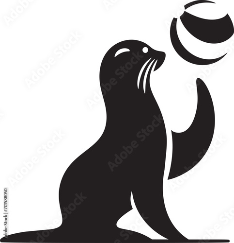 Seal with a Beach Ball