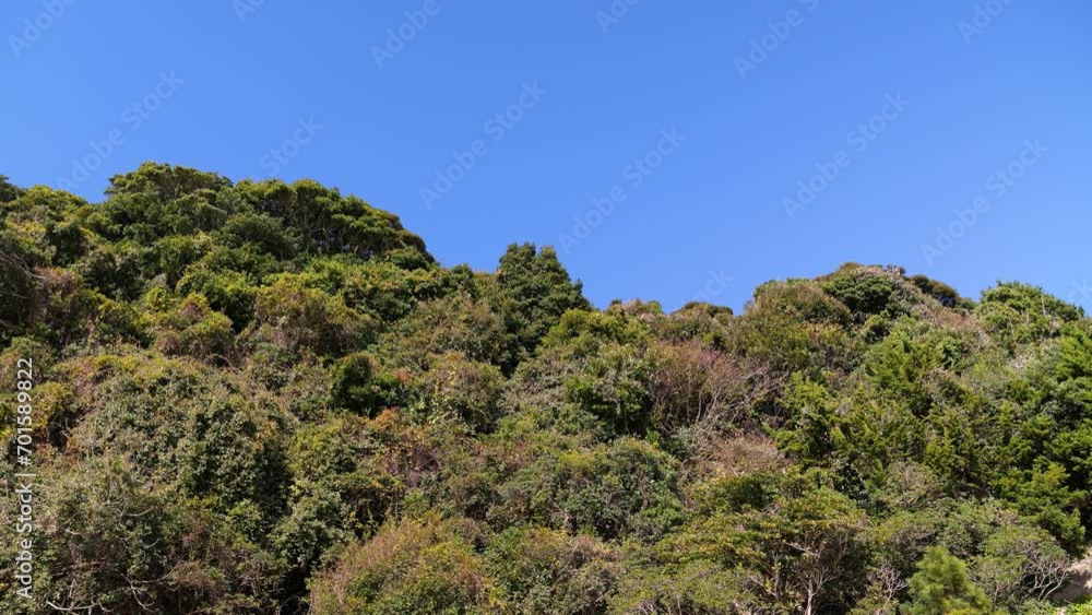 Minimal nature scenery with green forest against blue sky Minimal nature scenery with green forest against blue sky