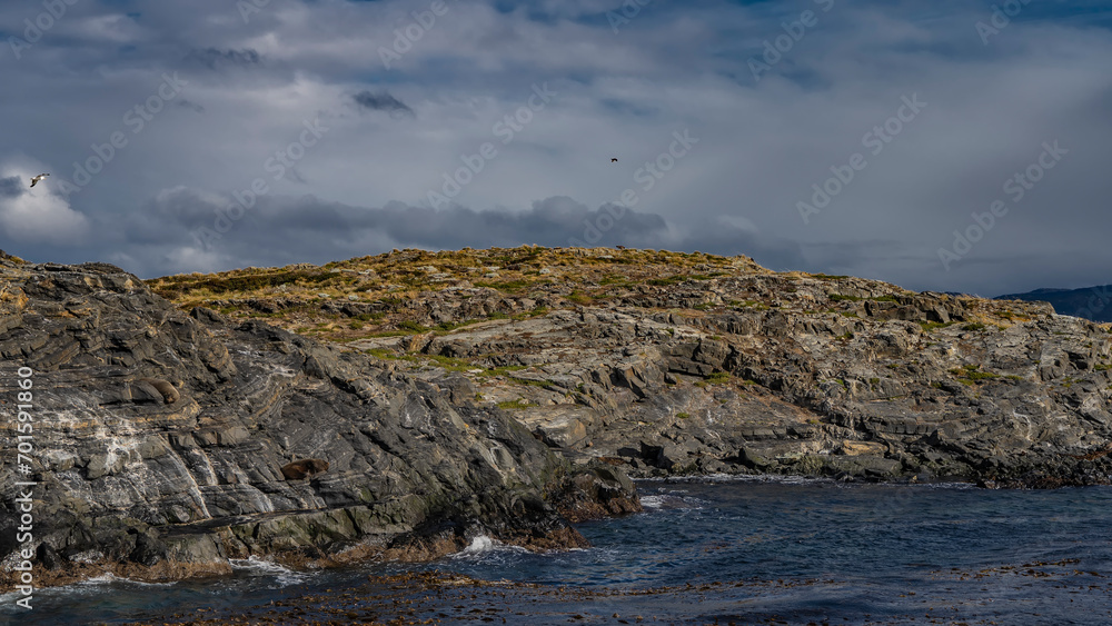 A rocky island in the Beagle Channel. Sea lions are resting on the slopes. Birds are flying in the sky. Low-growing grassy vegetation on cliffs. Isla de los lobos. Argentina. Tierra del Fuego 