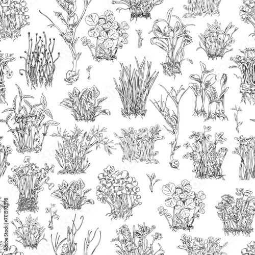 Seamless pattern with hand drawn monochrome different micro-green sprouts