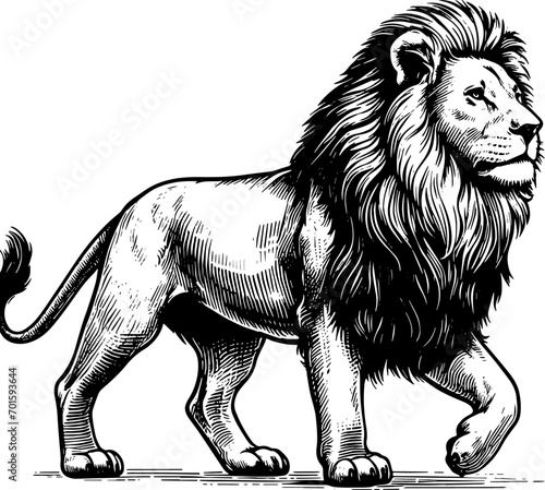 Coloring page Animals Cartoon clipart for kids illustration book