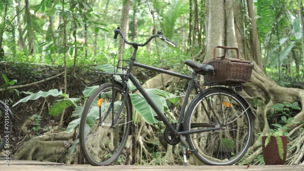 an old bicycle with a basket on the back an old bicycle with a basket on the back