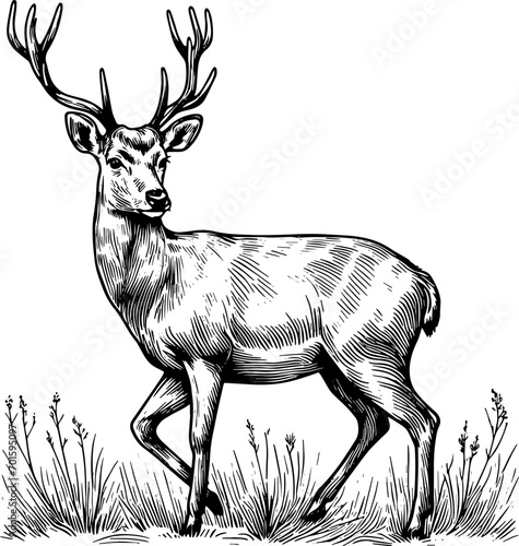 Coloring page Animals Cartoon clipart for kids illustration book	
