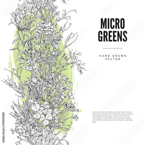 Vertical seamless border with hand drawn different micro green sprouts