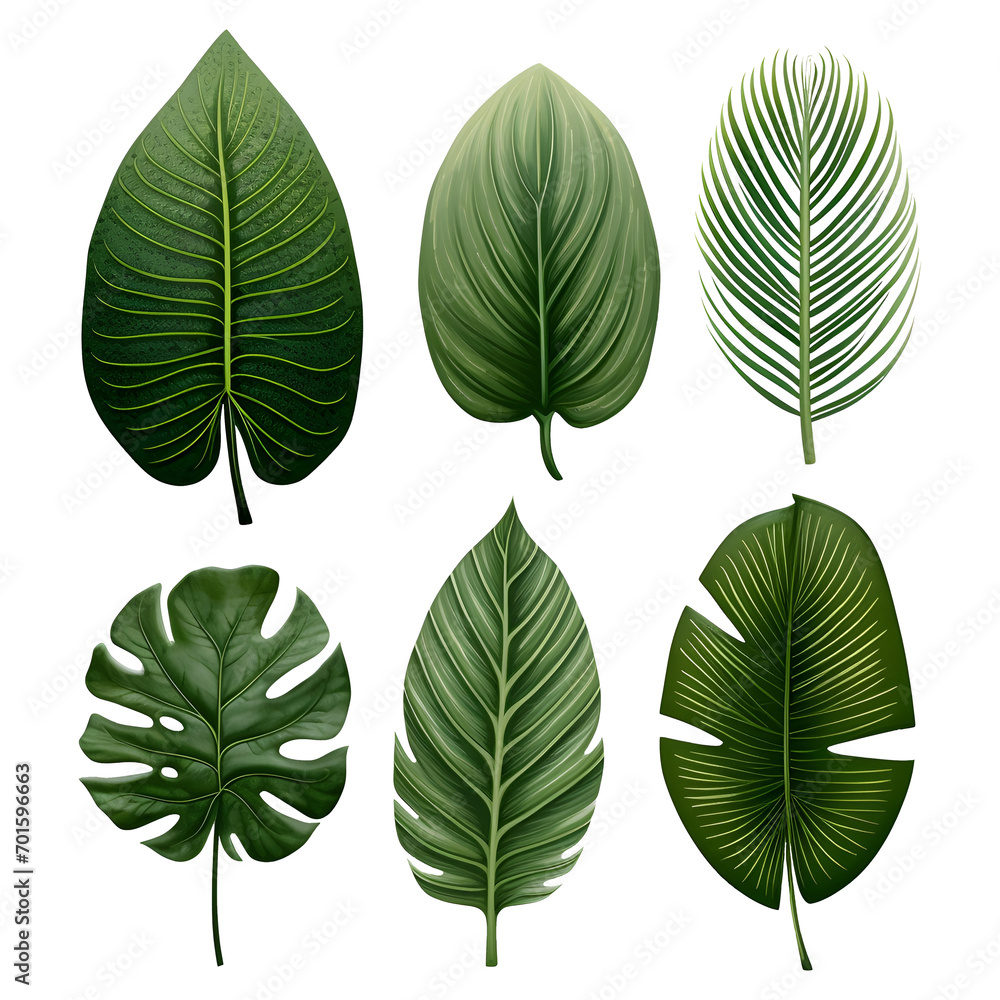 Set of watercolor tropical leaves isolated 