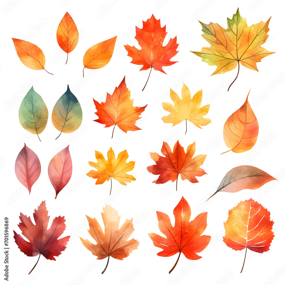 Set of autum watercolor leaves illustration isolated Set of autum watercolor leaves illustration isolated