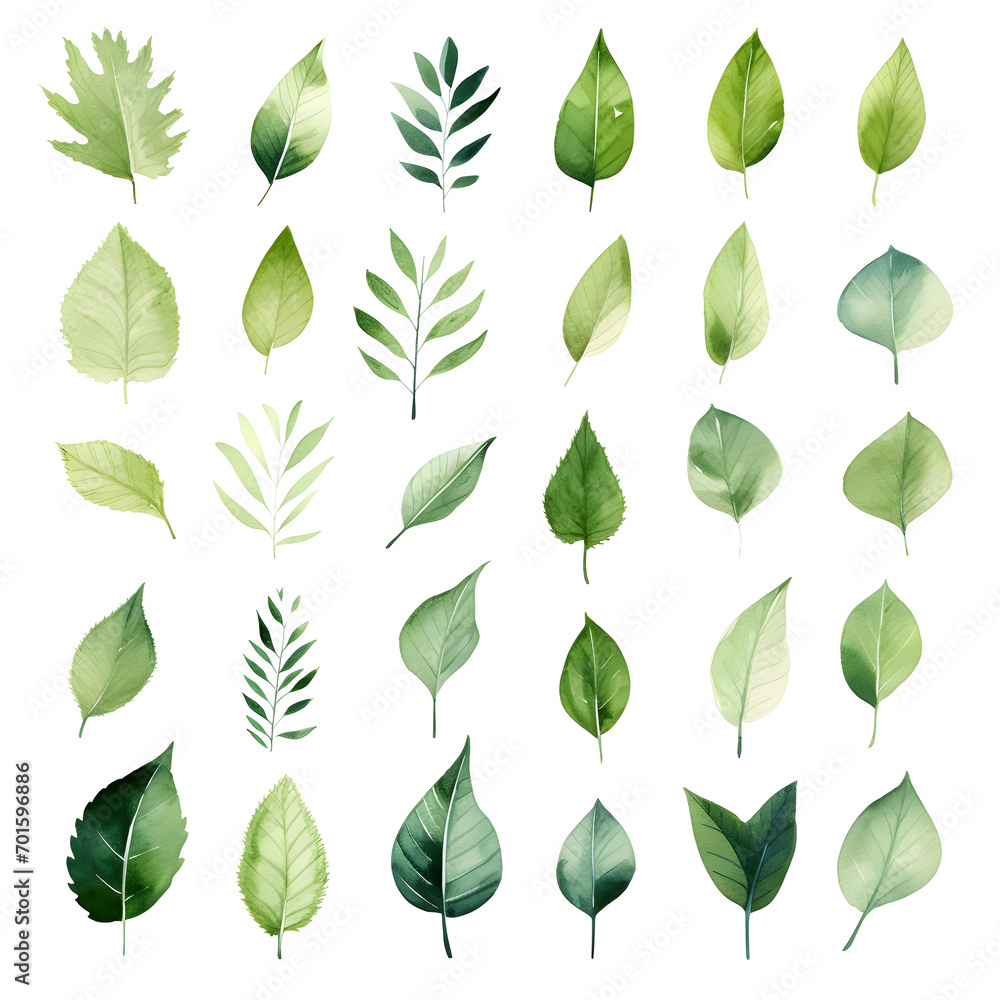 Set of green watercolor leaves illustration isolated