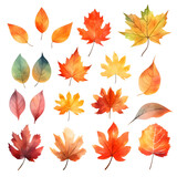 Set of autum watercolor leaves illustration isolated 