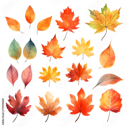 Set of autum watercolor leaves illustration isolated 