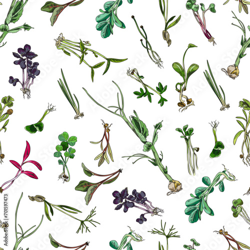 Seamless pattern with hand drawn colorful micro-green sketch style