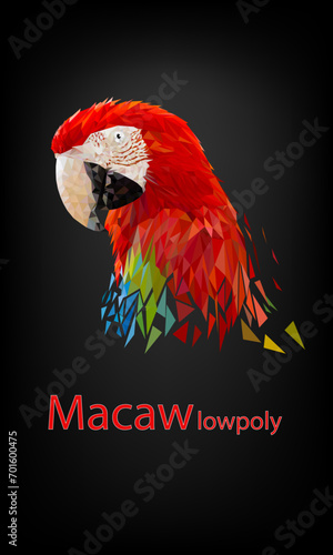 Polygon Graphics red macaw parrot on black background vector illustration