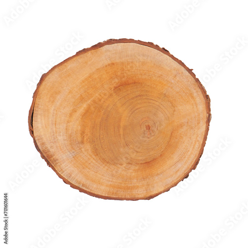 tree trunk wooden cutting board in white isolation transparent background
