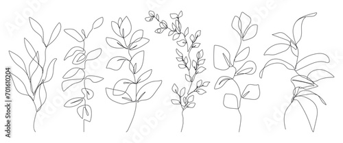 Continuous Line Drawing Of Plants Black Sketch of Flowers Isolated on White Background. Flowers with Leaves Set One Line Illustration. Minimalist Botanical Print. Vector EPS 10