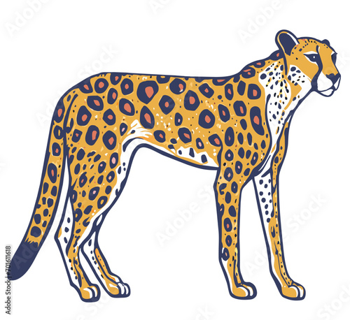 illustration cheetah vector 