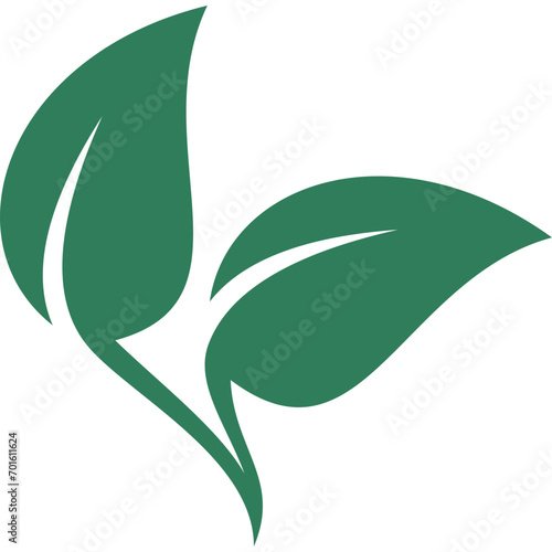 Eco Friendly Logo