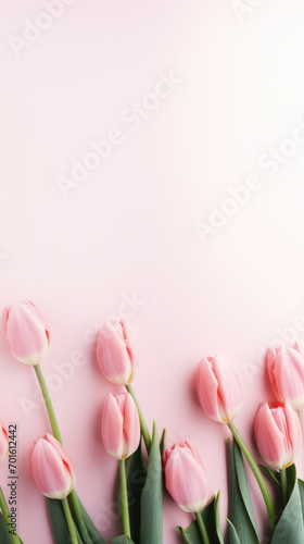 Spring tulip flowers on pink pastel background. Greeting for Women\'s, Mothers Day or spring sale banner