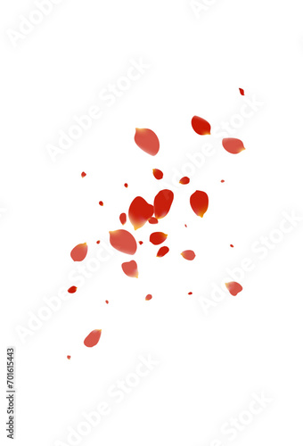 Delicate Cherry Flying Vector White Background.